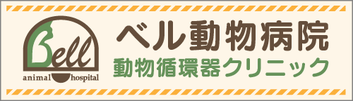 ベル動物病院 動物循環器クリニック